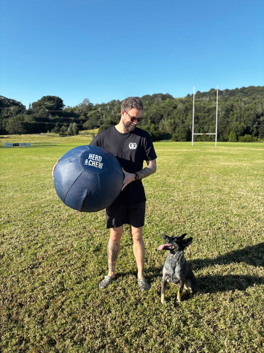 Herding Dogs and Their Mental Health: How the Right Toy Can Make All the Difference