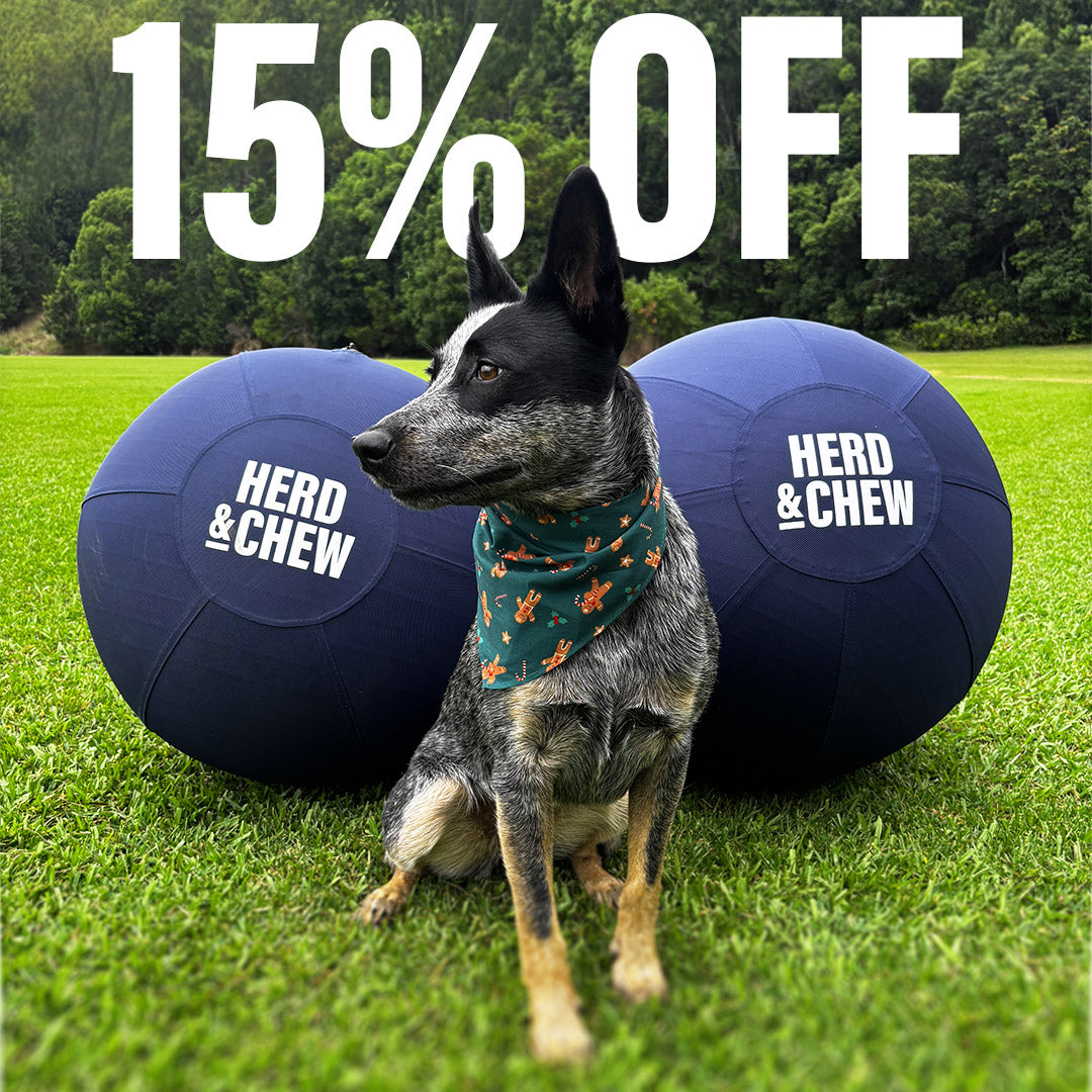 Herd & Chew | Herding Ball