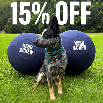Herd & Chew | Herding Ball