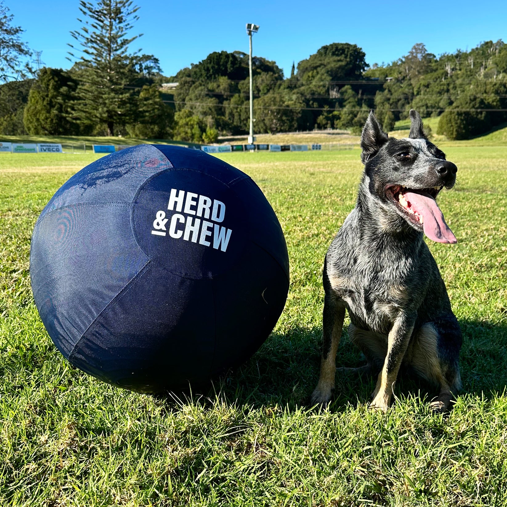 Hond Herding Ball - Opblaasbare Puppy Kauwen