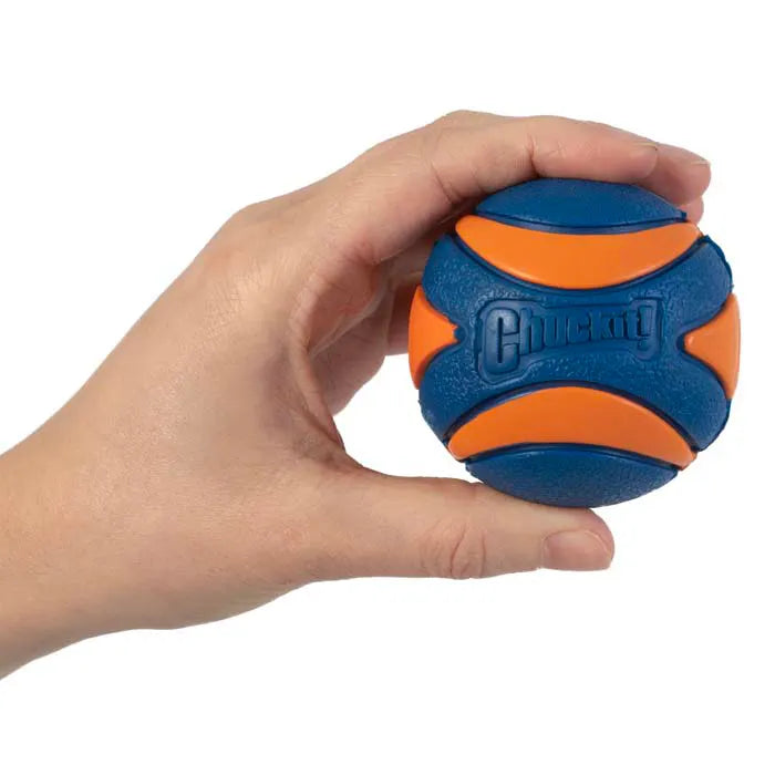 Chuckit! Ultra Squeak Ball