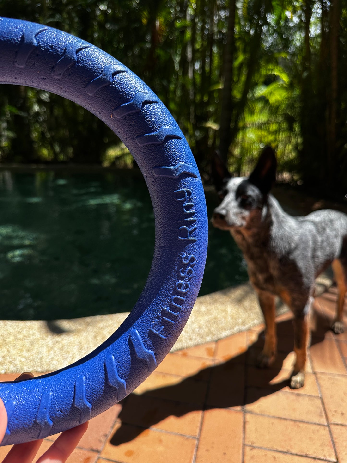 Floating EVA Durafoam Ring